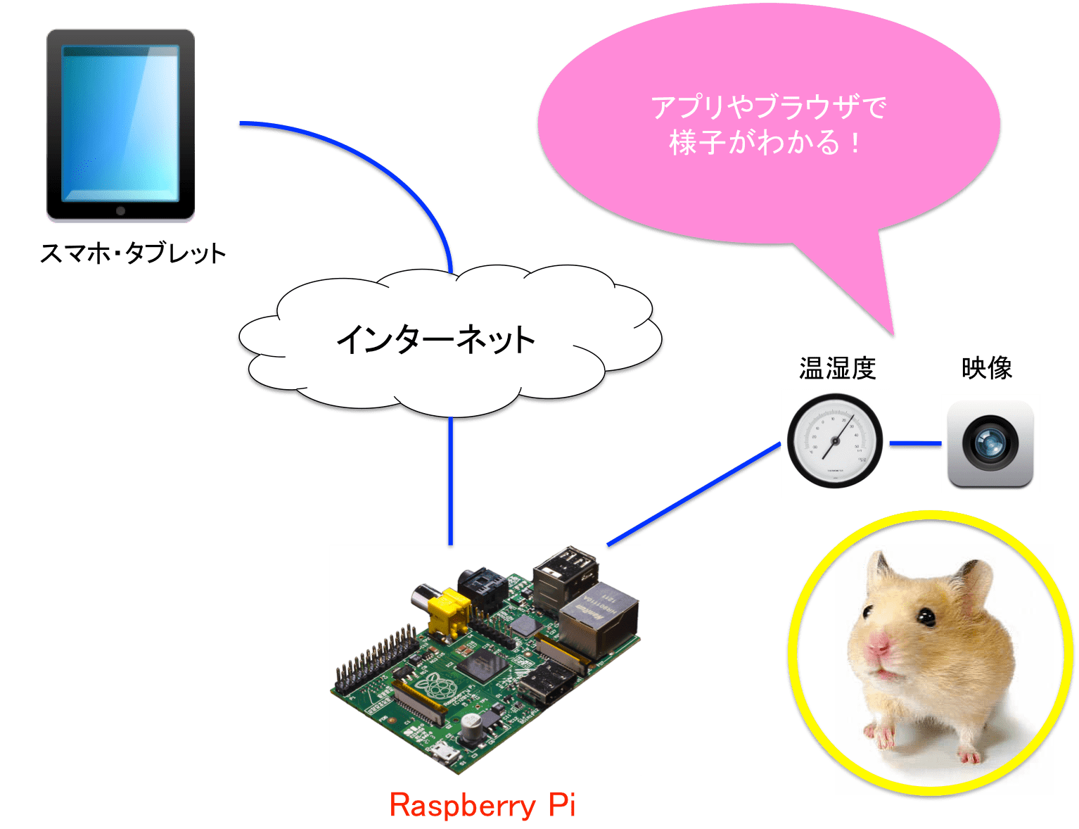 Raspberry Piで温湿度と映像を取得できる環境監視システムを作ってみた アキバのアミュレット店員がやってみた